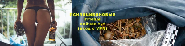 винт Корсаков
