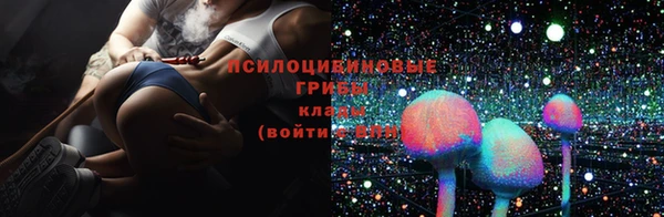 прущий лед Костерёво