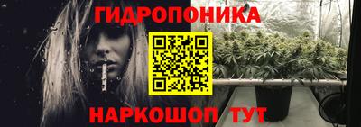 ECSTASY Гатчина