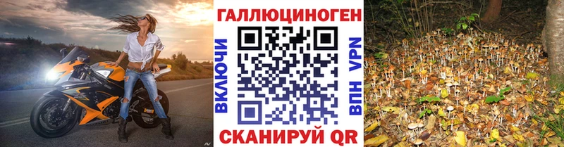 продажа наркотиков  Майский  Галлюциногенные грибы Psilocybe 